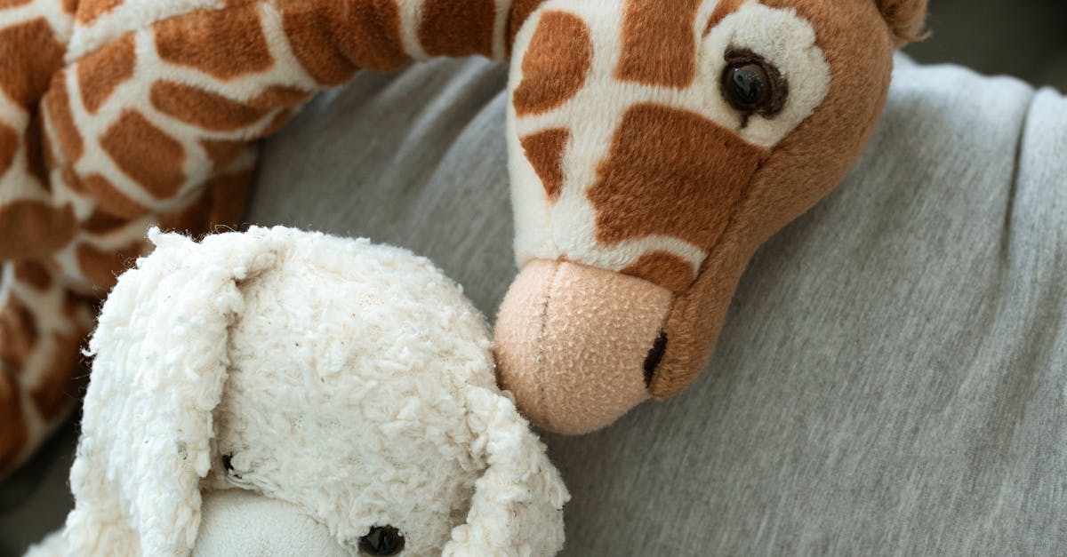 Strategies for Enhancing Communication Skills in SEL